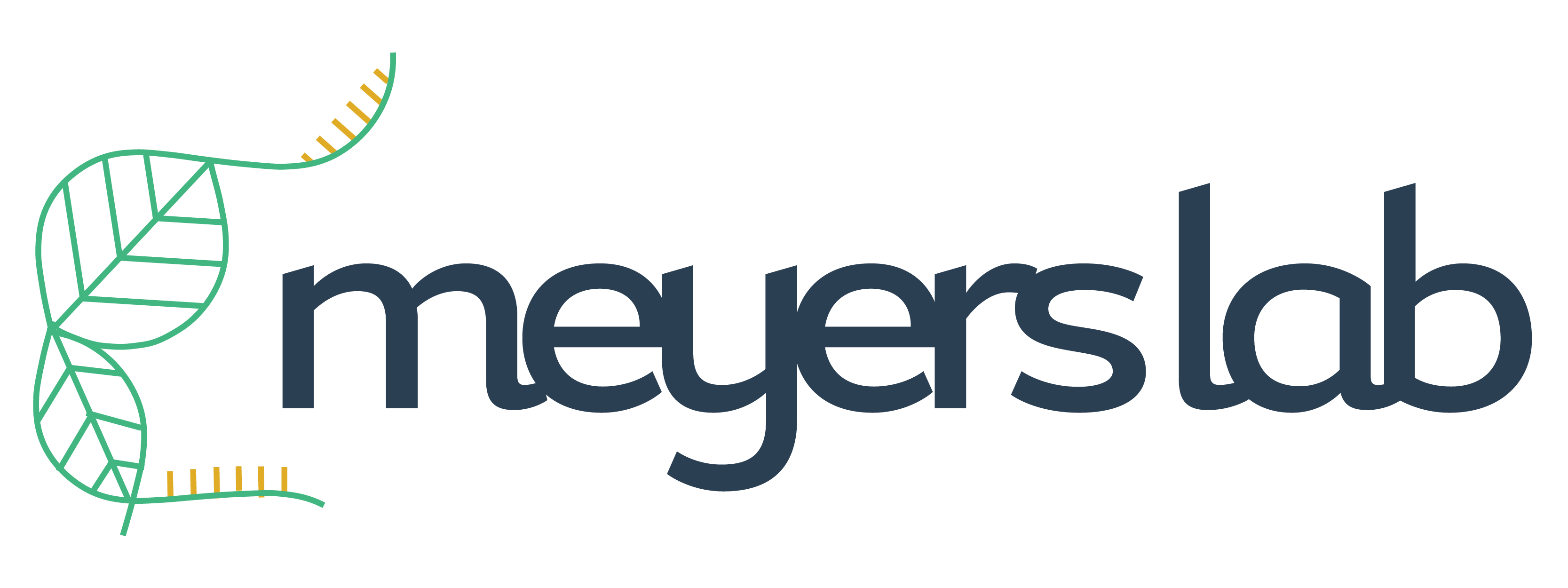 Site Logo | Databases & Tools