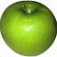 Malus domestica