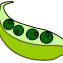 Medicago truncatula