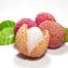 Litchi chinensis