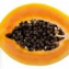 Carica papaya