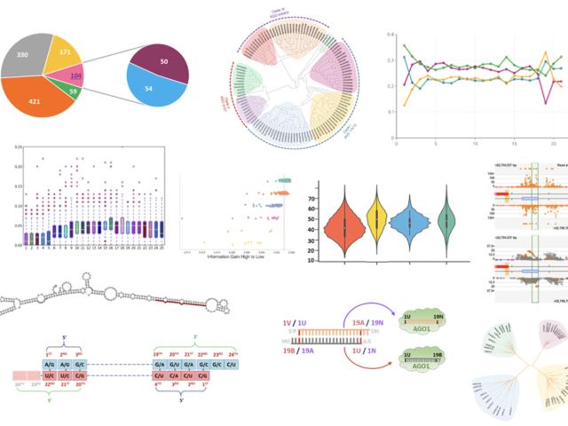 Research data
